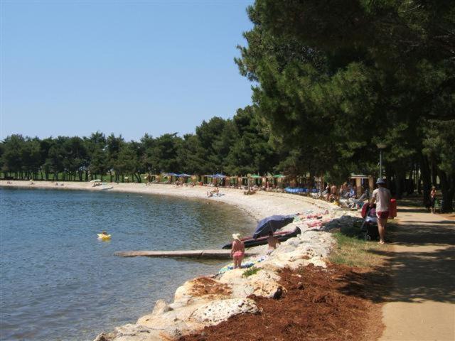 Novigrad Istria Apartman Oliver מראה חיצוני תמונה