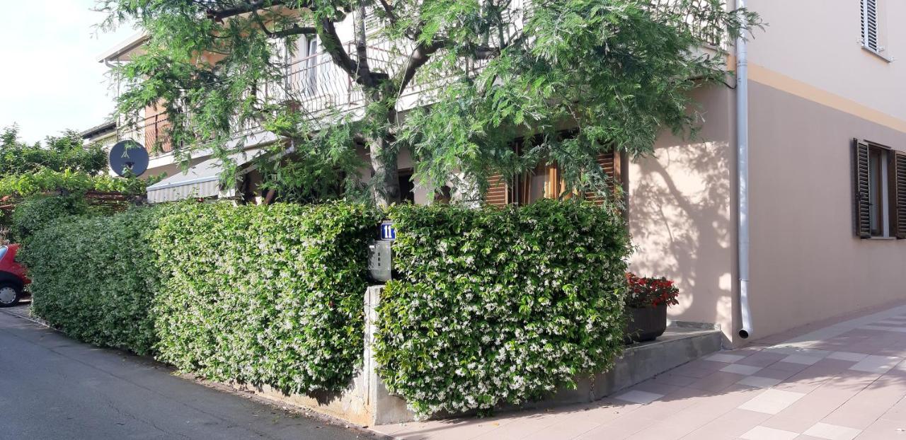 Novigrad Istria Apartman Oliver מראה חיצוני תמונה